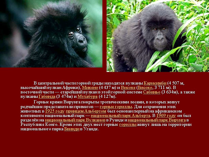 В центральной части горной гряды находятся вулканы Карисимби (4 507 м, высочайший вулкан Африки),